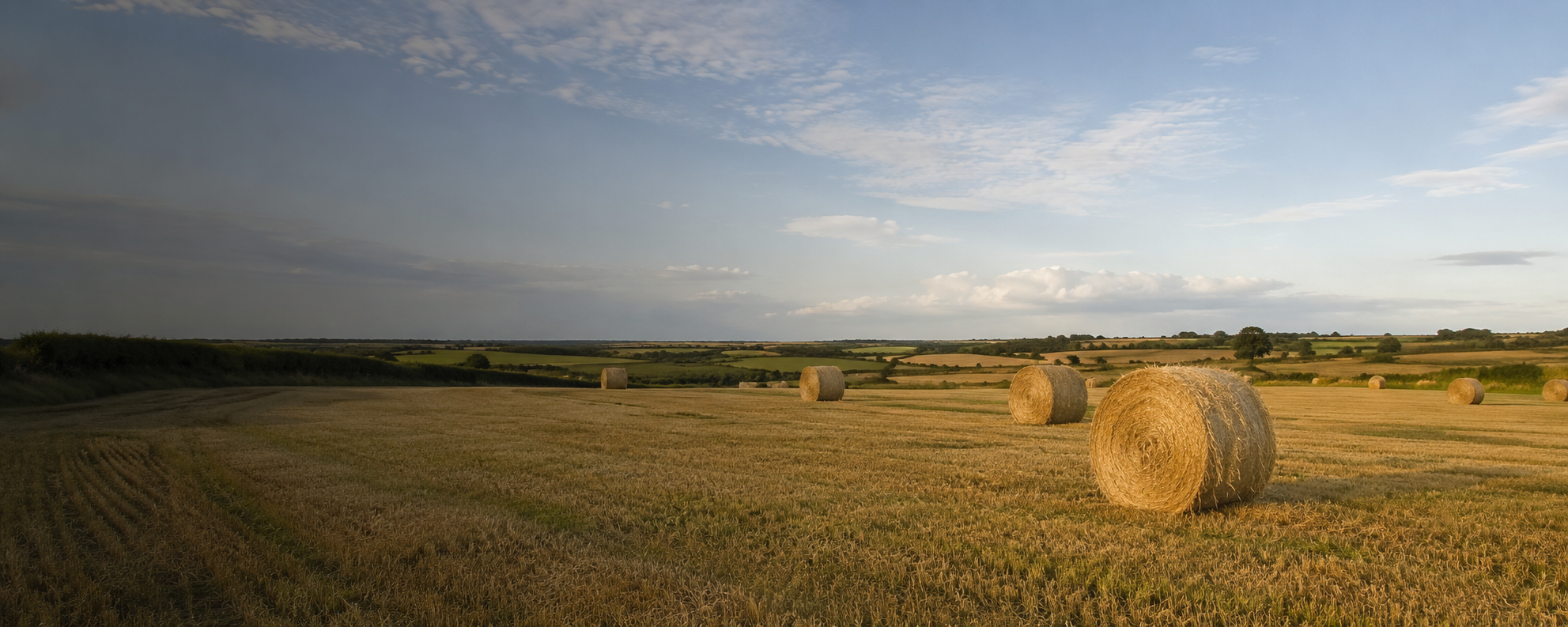 A West Norfolk field with hay bales beneath a wide summer sky